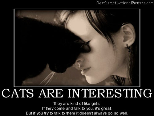 cat-and-girl-talk-best-demotivational-posters