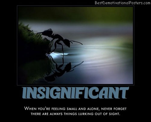 nsignificant-Ant-best-demotivational-posters