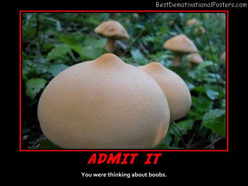 shrooms-thinking-best-demotivational-posters
