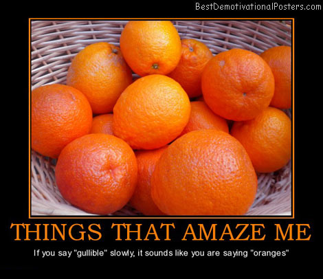 oranges-things-that-amaze-me-best-demotivational-poster