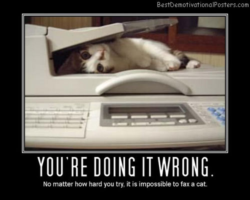 doing wrong fax-cat best-demotivational-poster