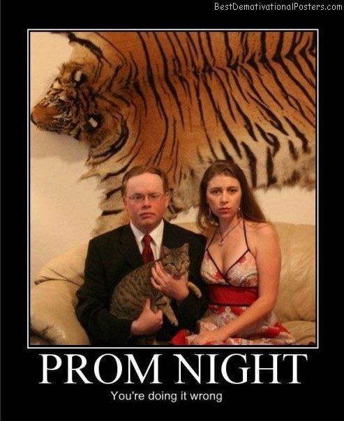prom night cat best-demotivational-posters