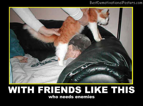 friends enemies