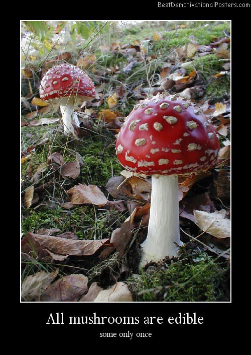 All Mushrooms Are Edible Best Demotivational Posters