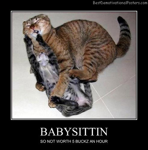 cats fighting slow motion Demotivational Poster