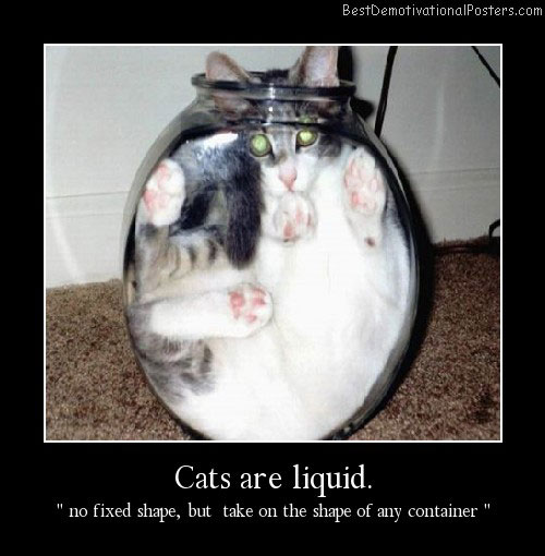 Cats Are Liquid Best Demotivational Posters