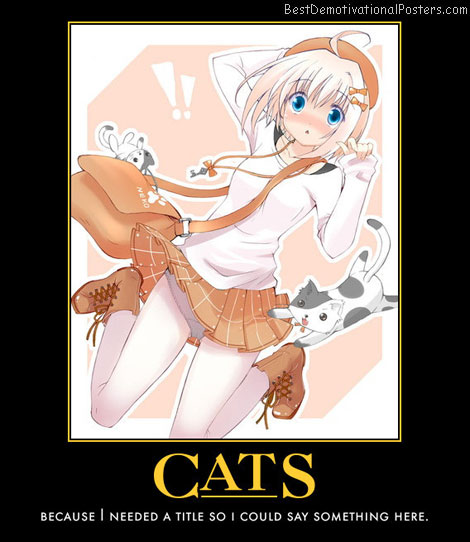 Cats anime