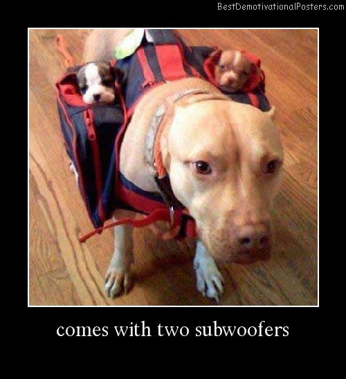 Two Subwoofers Dog Demotivational Poster