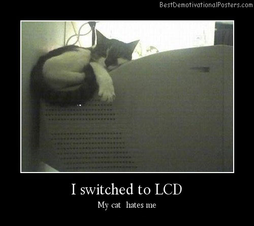 LCD monitor cat Demotivational Poster