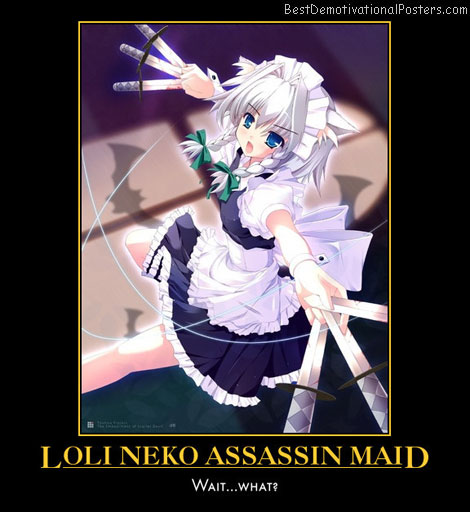 Loli Neko Assassin Maid anime