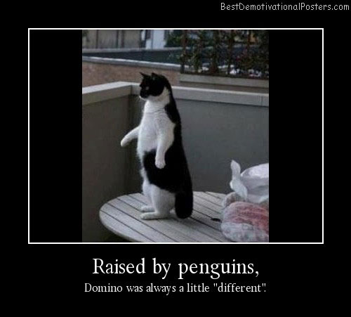 Cat Penguin Best Demotivational Poster
