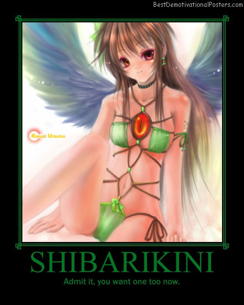 Shibarikini Poster
