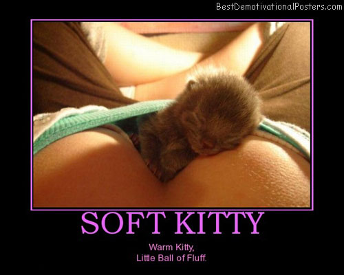Soft Kitty cute funny Poster