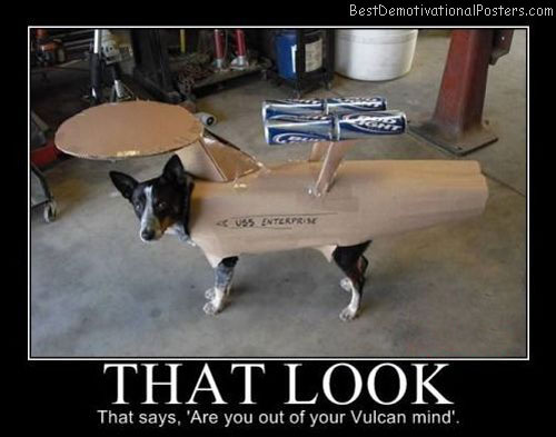 Flying Dog Funny Demotivational Poster