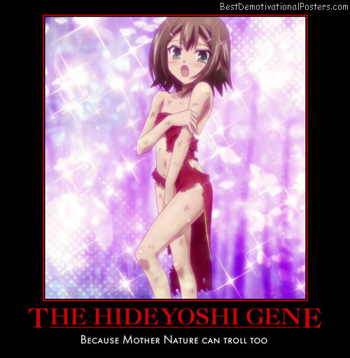 The Hideyoshi Gene anime