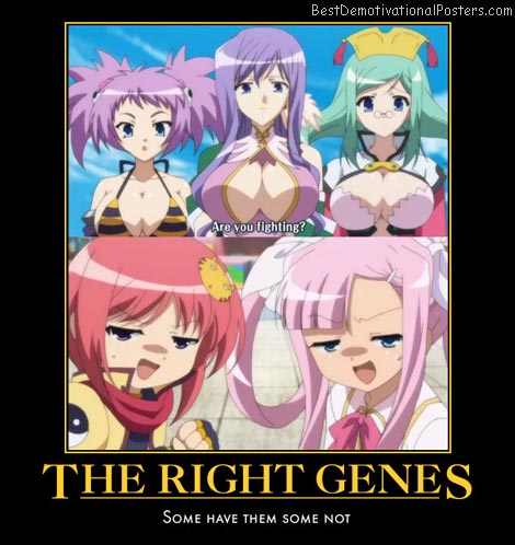 The Right Genes anime