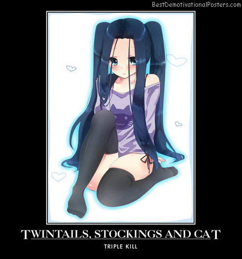 Twintails, Stockings And Cat anime