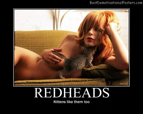 redheads-kittens best demotivational posters