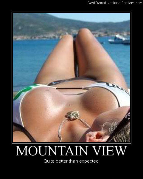 Mountain View Best Demotivational Posters