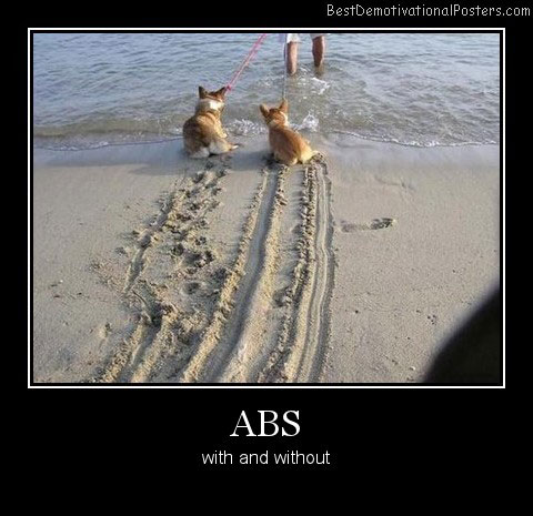 ABS With And Without Best Demotivational Posters