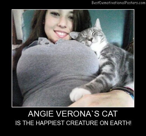 Angie Verona's Cat Best Demotivational Posters