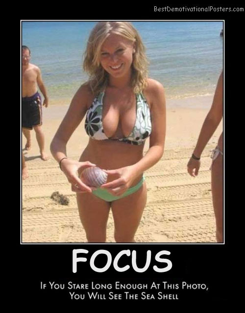 Focus On the shell