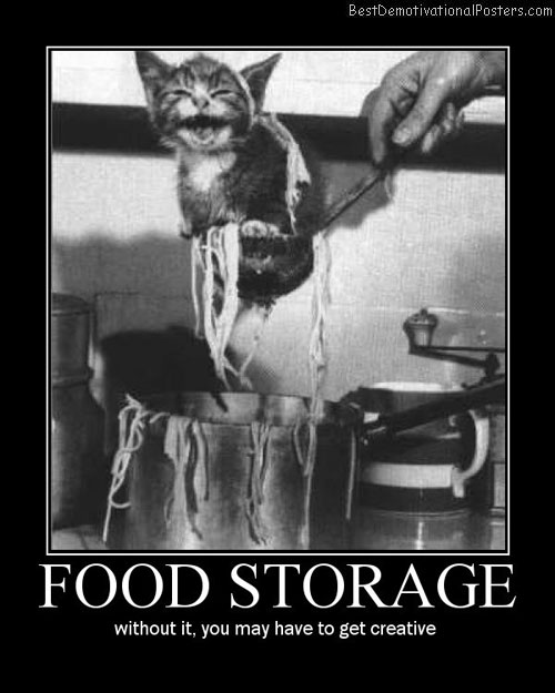 Food Storage cat cute