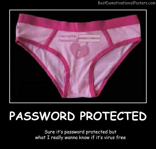 Password Protected Panties Demotivational Posters