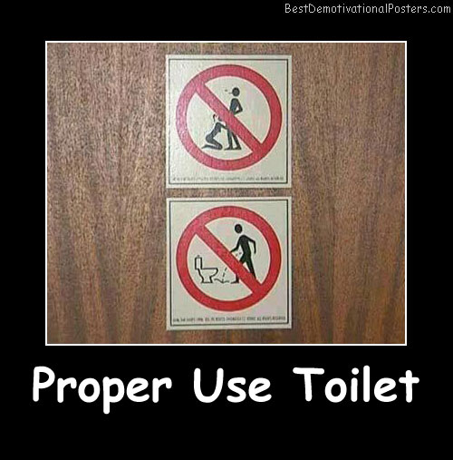 Proper Use Toilet Poster