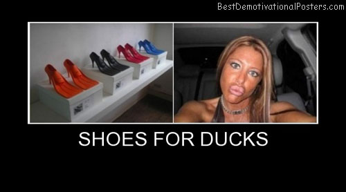 Shoes For Ducks Face Demotivational Posters