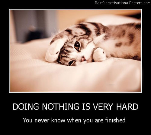 Doing Nothing Is Very Hard Best Demotivational Posters