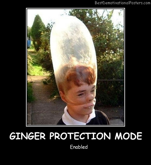 Ginger Protection Mode Best Demotivational Posters