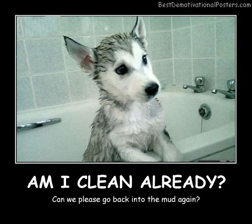 Am I Clean Already Best Demotivational Posters funny