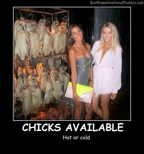 Chicks Available Best Demotivational Posters