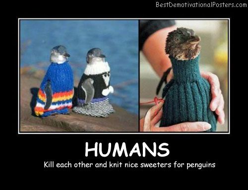 sweaters for penguins