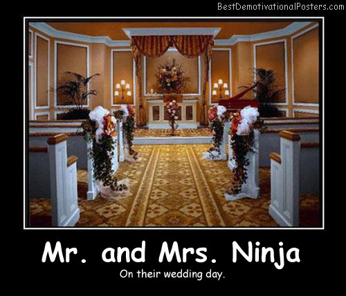 Mr. and Mrs. Ninja Best Demotivational Posters