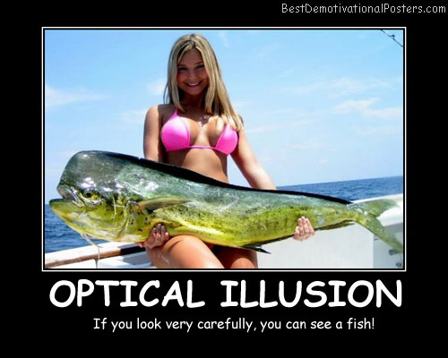 Optical Illusion Best Demotivational Posters
