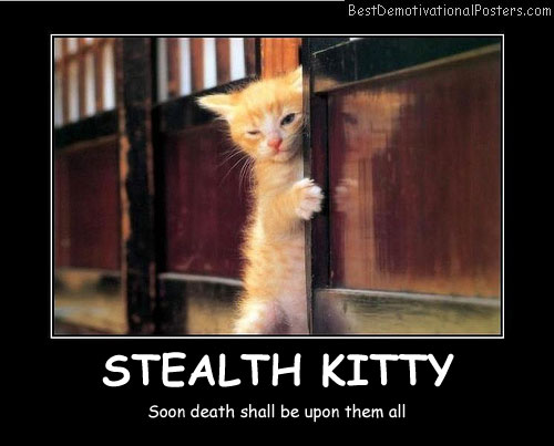 Stealth Kitty Best Demotivational Posters