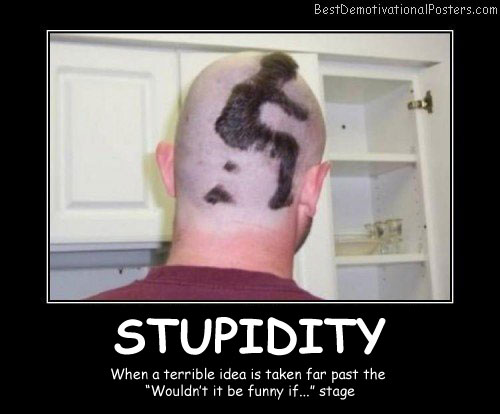 Haircut Stupidity Best Demotivational Posters