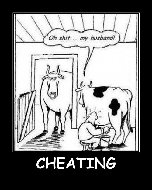 Cheating Best Demotivational Posters