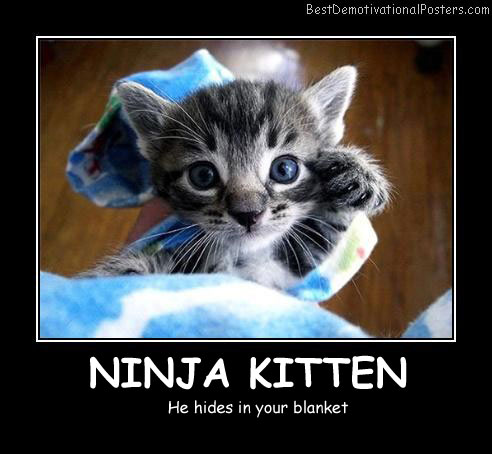 Ninja Kitten Best Demotivational Posters