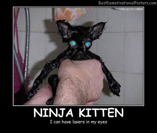 Ninja Wet Kitten Best Demotivational Posters