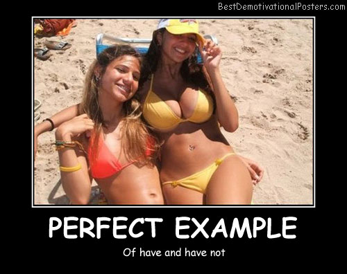 Perfect Example Best Demotivational Posters