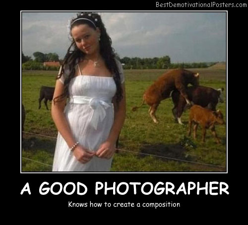 Funny Photo  Posters