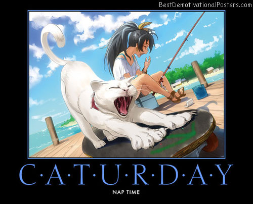 Caturday Nap Time anime