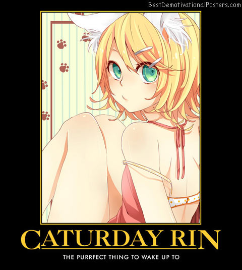Caturday Rin anime