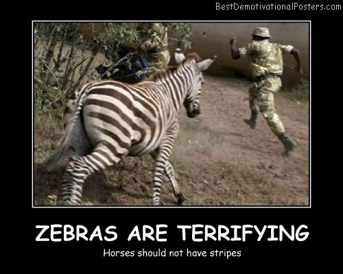Zebras Are Terrifying Best Demotivational Posters