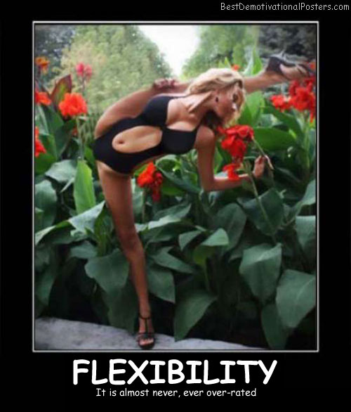 Flexibility Girl Flowers Demotivational Poster