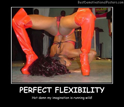 Perfect Flexibility Hot Best Demotivational Posters