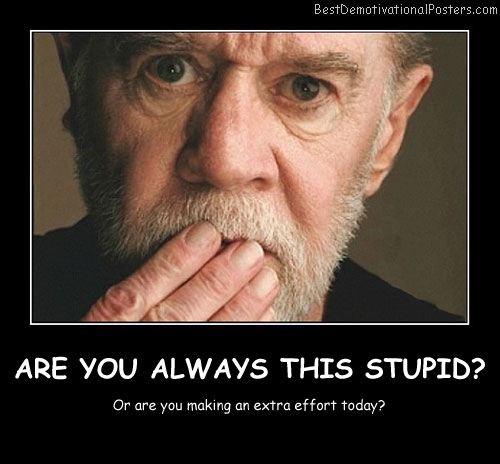 Are You Always This Stupid Best Demotivational Posters